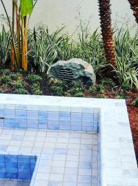 484728070_1211432944323826_8092860613755899169_n