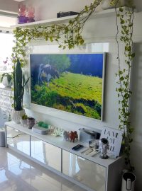 489930692_1235923228541464_9076538135546229638_n