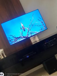 490781375_1240825541384566_578982337382568003_n